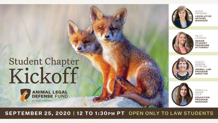 graphic promoting the event with a photo of two fox pups, photos of the speakers, and this text, "Student Chapter Kickoff Sept. 25, 2020 from 12 to 1:30 p.m. PST. Open only to law students."