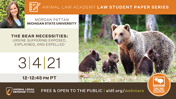 graphic promoting webinar with a photo of the speaker and 3 bear cubs and their mother. Text says, "3/4/21 from 12-12:45 pm PST. Free & open to the public."