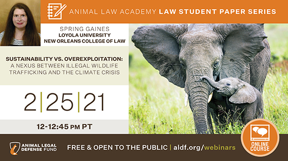 graphic promoting webinar with a photo of the speaker and a mother and baby elephant. Text says, "2/25/21 from 12-12:45 pm PST. Free & open to the public."