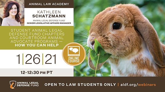 graphic promoting the webinar with a photo of the bunny, speaker Kathy Schatzmann, and this text: "1/26/21 from 12-12:30 pm PST. Open to law students only."