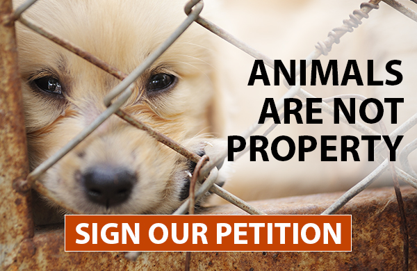 Animals Are Not Property. Sign Our Petition.