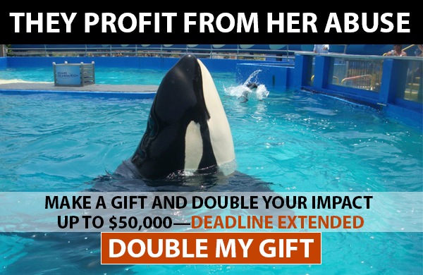 They Profit From Her Abuse. Make A Gift And Double Your Impact Up To $50,000. Deadline Extended.