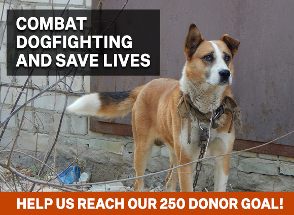 Help combat dogfighting