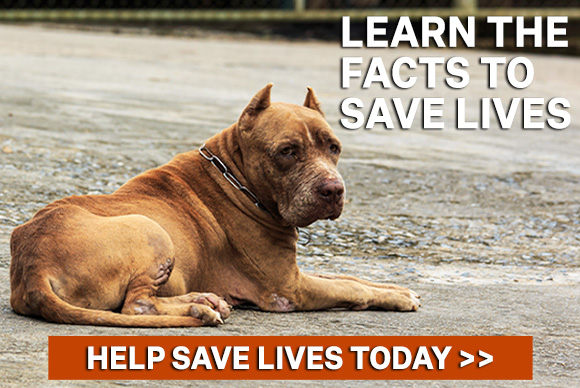 Learn the facts to save lives