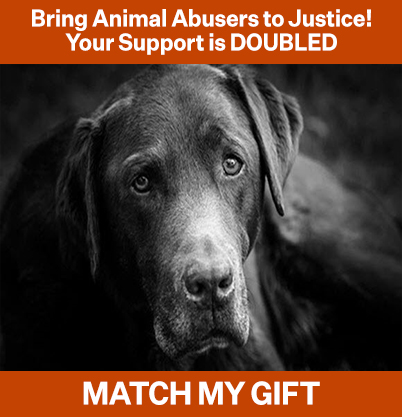 Bring animal abusers to justice! Your support is DOUBLED. Match My Gift!