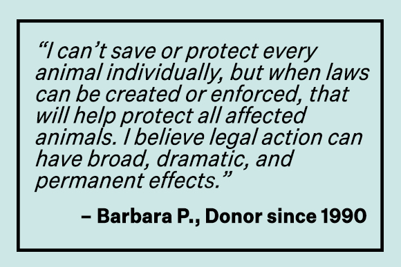 'I can't save or protect every animal individually, but when laws can be created or enforced, that will help protects all affected animals. I believe legal action can have broad, dramatic, and permanent effects' -Barbara P., Donor since 1990