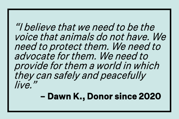 'I believe that we need to be the voice that animals do not have. We need to protect them. We need to advocate for them. We need to provide for them a world in which they can safely and peacefully live.' -Dawn K., Donor since 2020