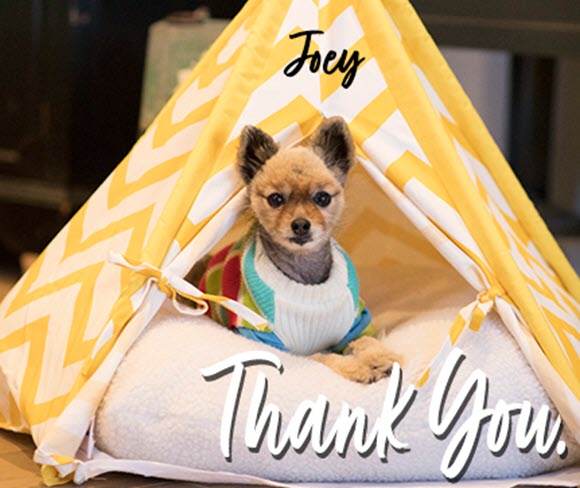 Thank you for helping save lives like Joey's.