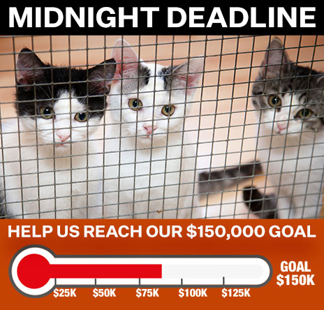 Help us reach our $150,000 goal. $875k matching gift | Deadline: Midnight December 31. Match My Gift.