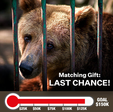 Help us reach our $150,000 goal. $875k matching gift | Deadline: Midnight December 31. Match My Gift.