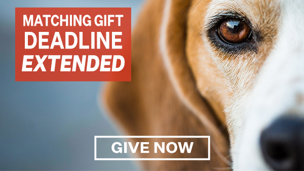 Matching Gift deadline extended