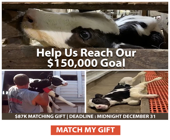 Help us reach our $150,000 goal. $875k matching gift | Deadline: Midnight December 31. Match My Gift.