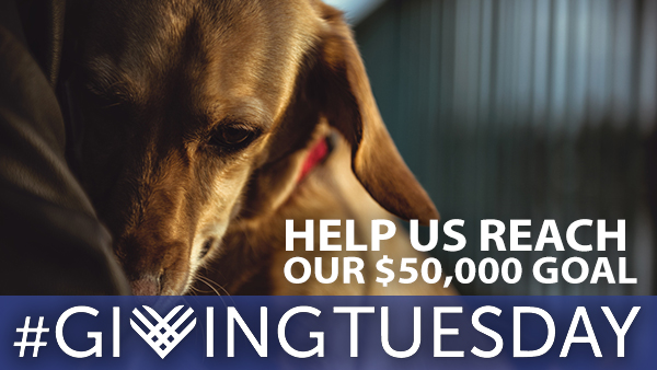 Don't wait for Giving Tuesday to save lives. Dobule your impact.