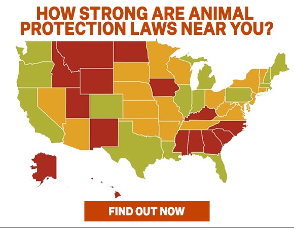 Where does your state fall?