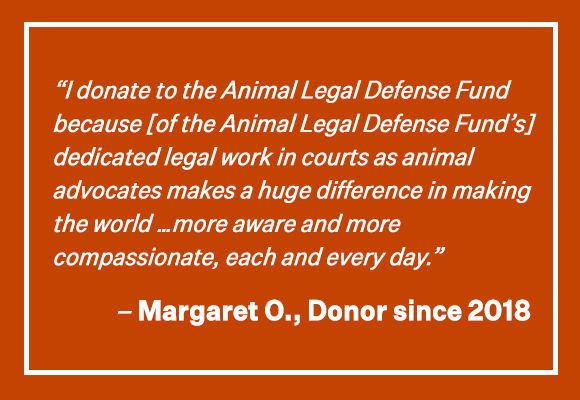 'I donate to the Animal Legal Defense Fund because [of the Animal Legal Defense Funds's] dedicated legal work in courts as animal advocates makes a huge difference in making the world ...more aware and more compassionate, each and every day.' -Margert, O., Donor since 2018