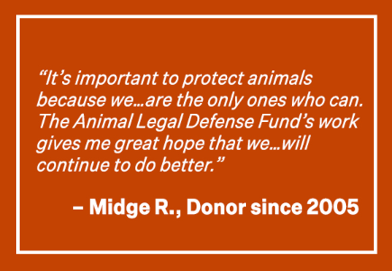 'It's important to protect animals because we...are the only ones who can. The Animal Legal Defense Fund's Work gives me great hope that we...will continue to do better.' -Midge R., Donor since 2005