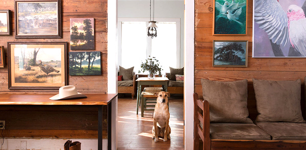 dog sitting in the doorway of a housse