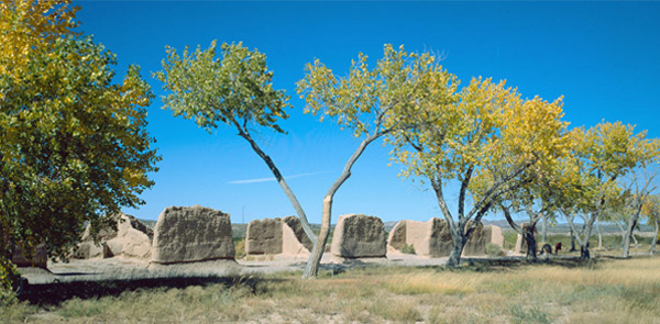 adobe forts