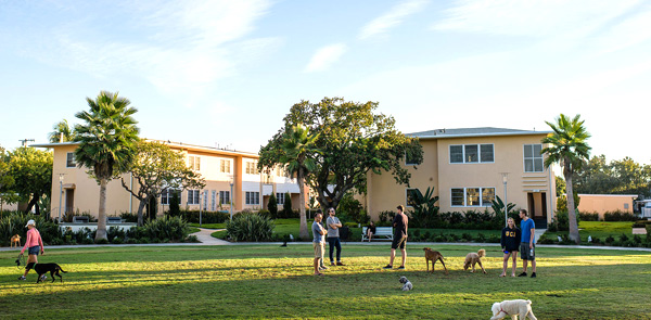 People hanging out on a grassy area in front of apartments