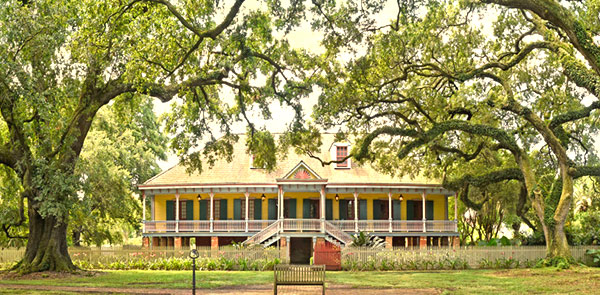 Building surrounded by trees and spanish moss