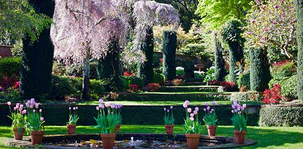 Gardens at Filoli, a National Trust Historic Site