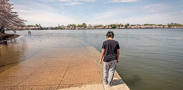 Child walking along the side of a flooded tidal basin