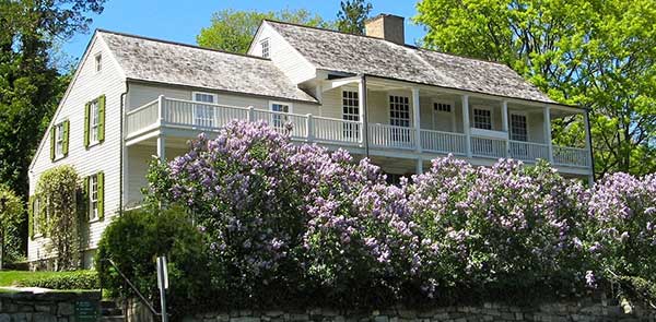 Wooden two-storey house with lilac bushes out front