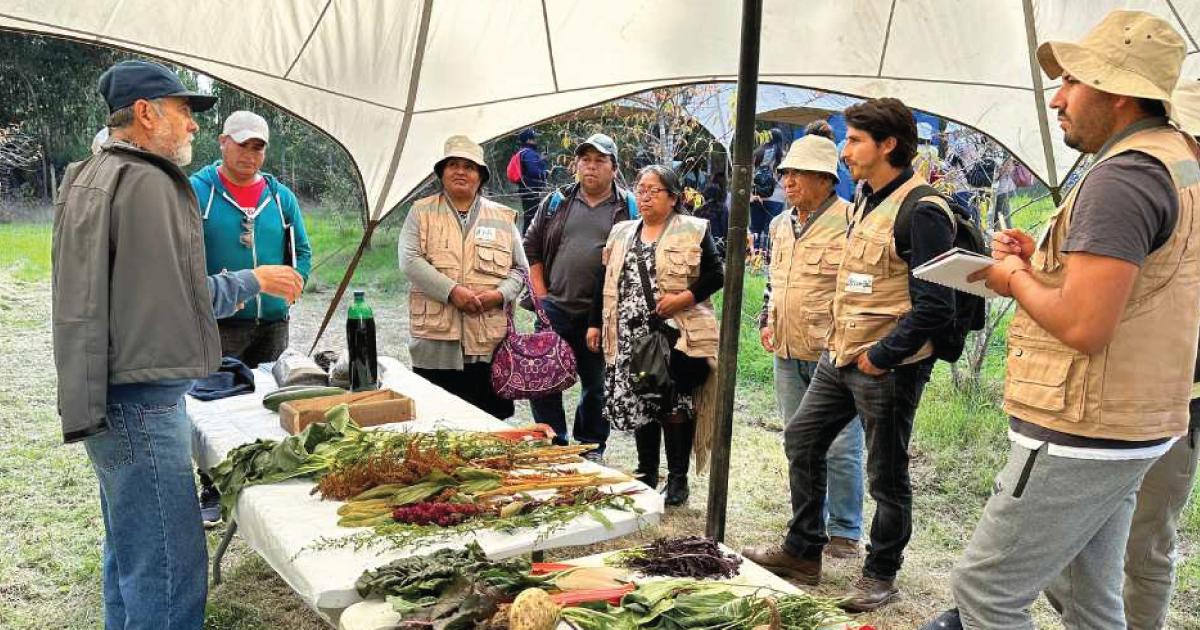 Photo: Portal AgroChile