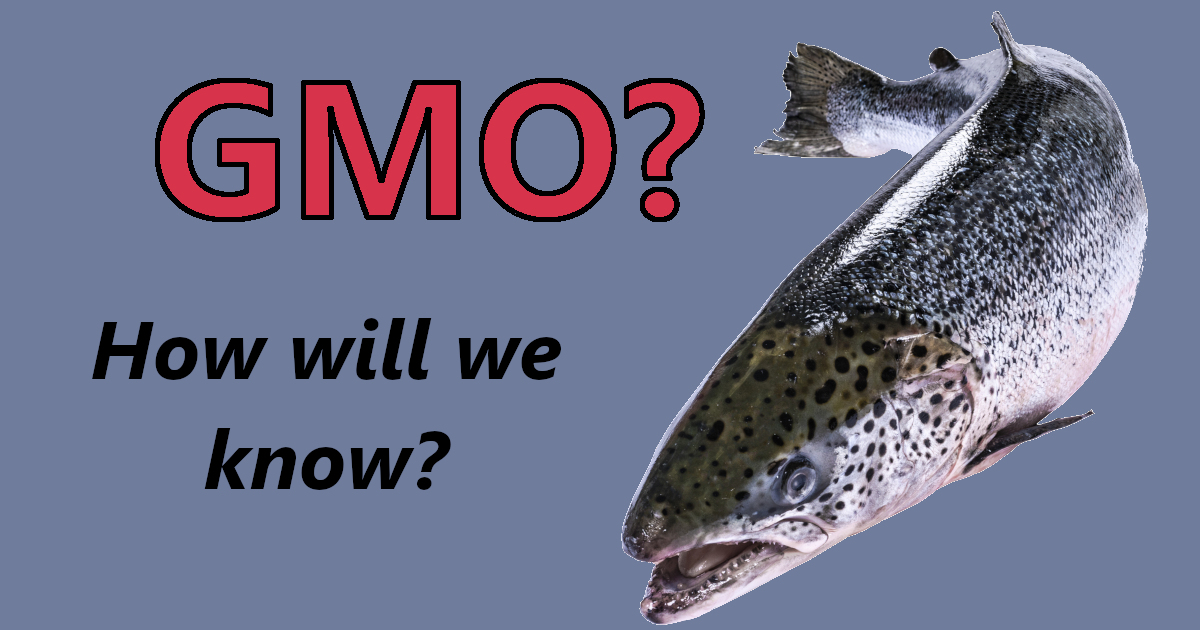 salmon fish with text GMO HOW WILL WE KNOW