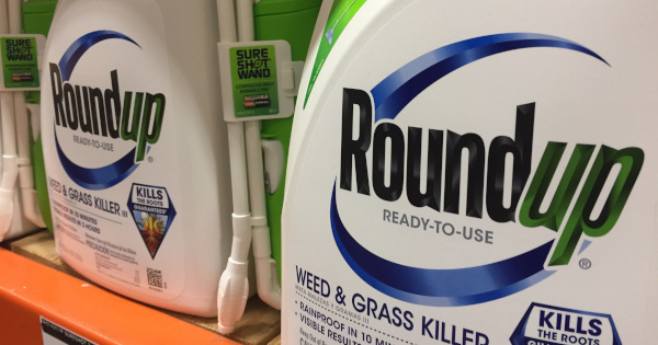 bottles of Monsantos glyphosate herbicide ROUNDUP on a store shelf