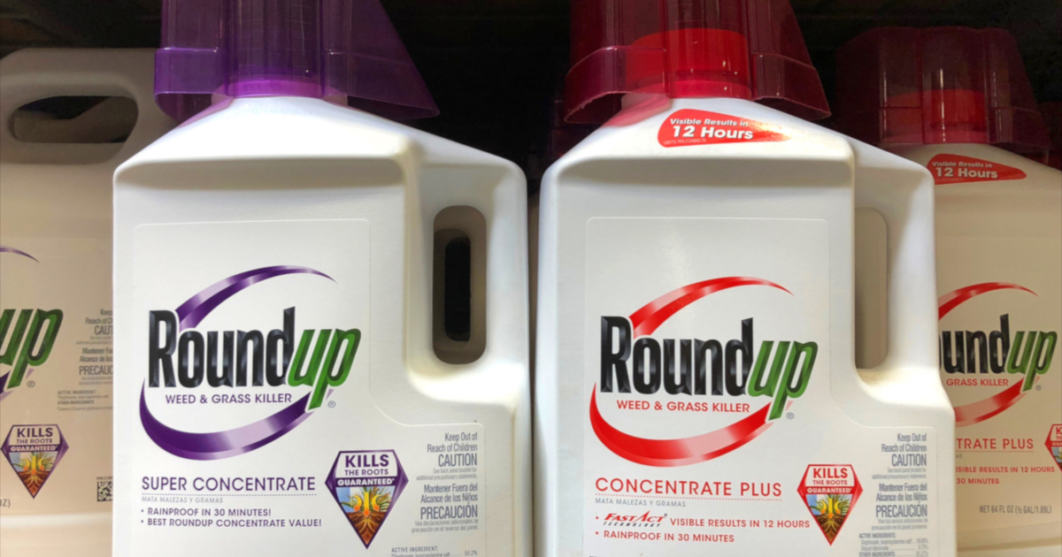Monsantos glyphosate herbicide ROUNDUP on a store shelf