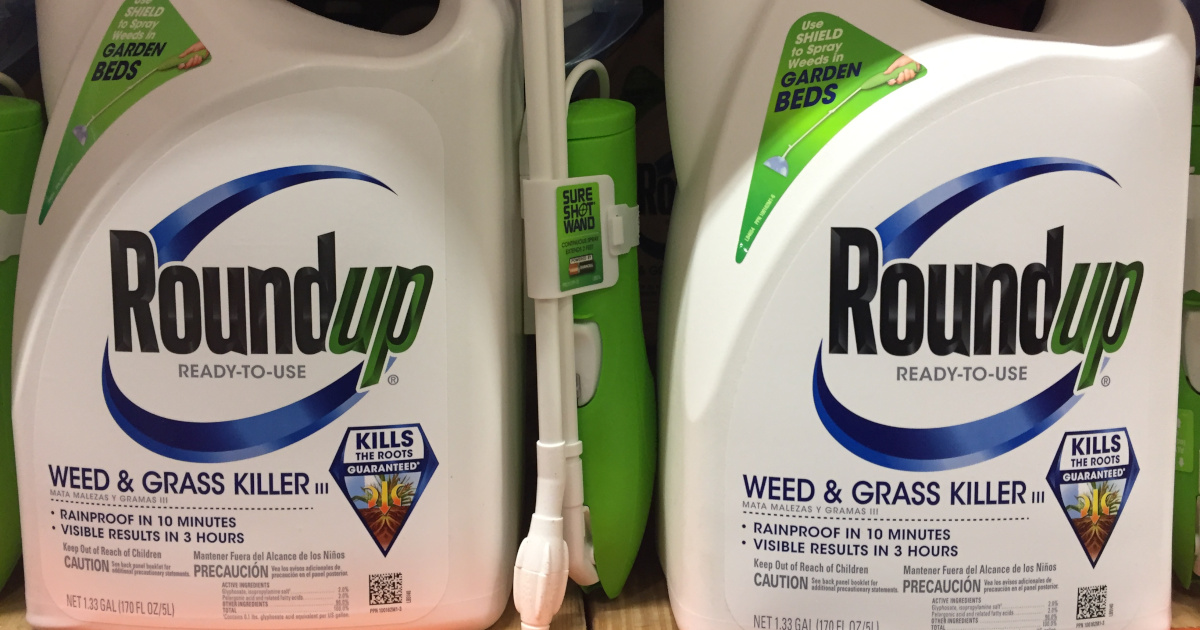bottles of Monsantos glyphosate herbicide ROUNDUP on a store shelf