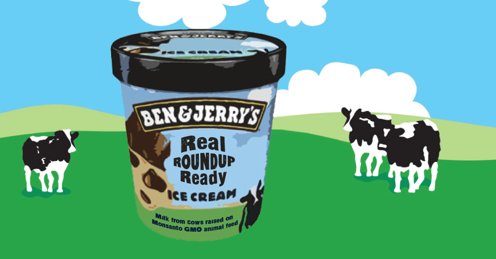 Roundup Ready Ben and Jerrys ice cream with cows on a sunny grass pasture