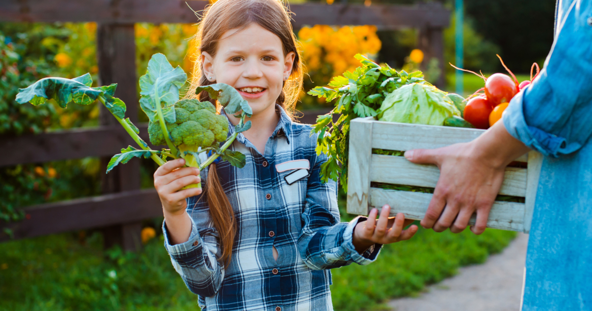 young child on a farm with a wooden box of harvested vegetables