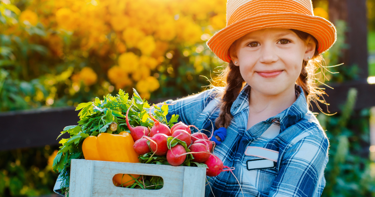 young girl farmer in a field with a box of harvested vegetables in autumn