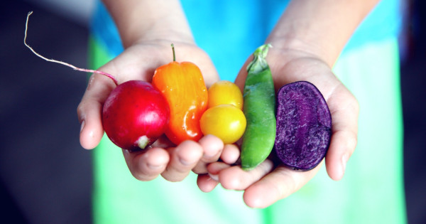 two hands holding colorful vegetables
