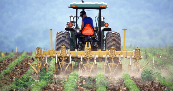 tractor spraying a farm crop field with pesticides