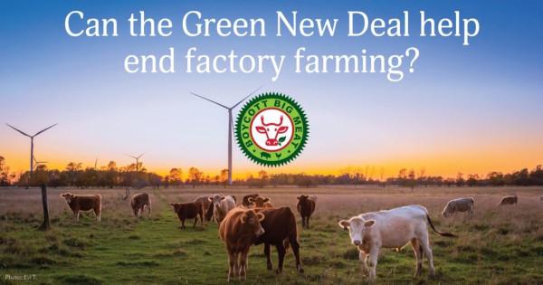 Can the Green New Deal help end factory farming?