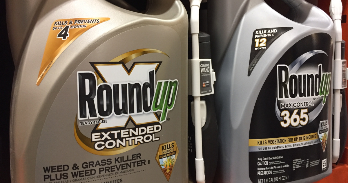 silver and gold bottles of Monsantos glyphosate herbicide ROUNDUP on store shelves