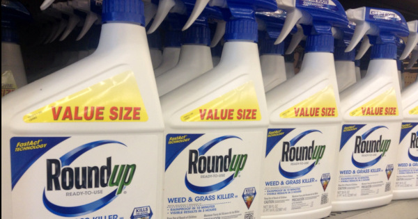 Monsantos glyphosate herbicide ROUNDUP in a blue and white spray bottle on a store shelf
