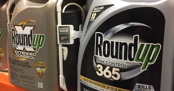 black and silver bottles of Monsantos glyphosate herbicide Roundup on a store shelf