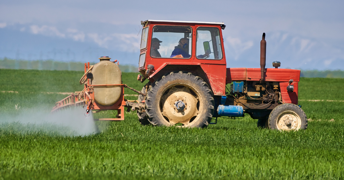 red tractor spraying pesticides on a green farm crop field