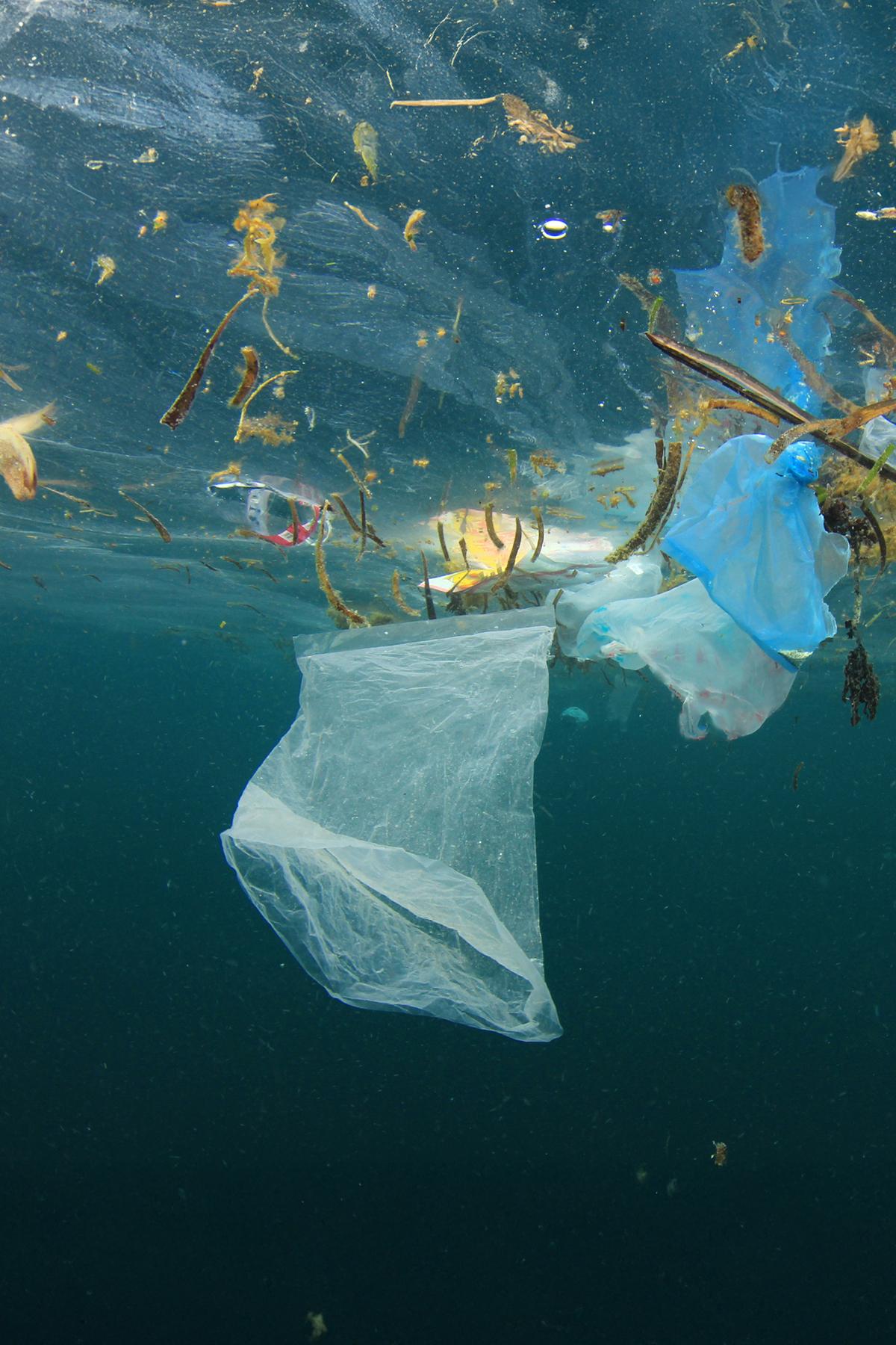 Plastic garbage floating in the ocean