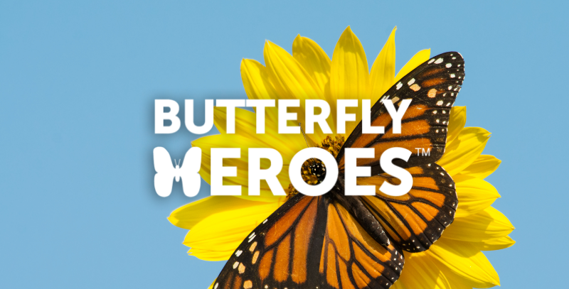Butterfly Heroes