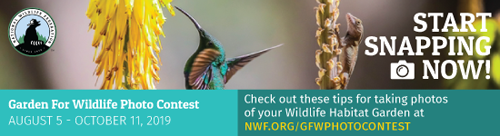Garden for Wildlife Photo Contest