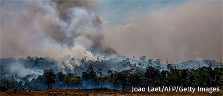 Amazon fires