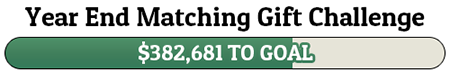 Year End Matching Gift Challenge - $382,681 TO GOAL