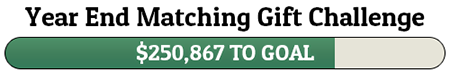Year End Matching Gift Challenge - $250,867 TO GOAL