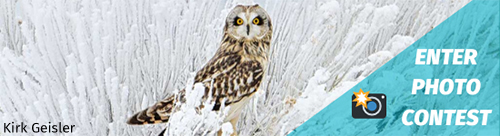 Enter Photo Contest