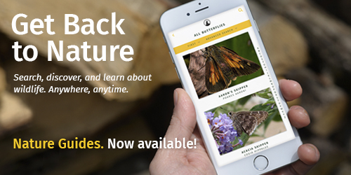 Get Back to Nature
